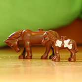 Kinderopvang Madelief Bodegraven Paardje