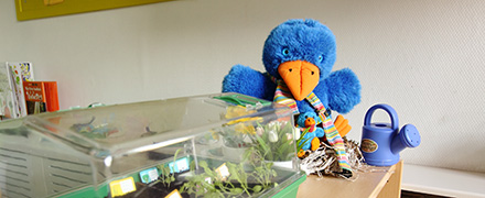 Kinderopvang Madelief Bodegraven Moestuintje