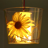 Kinderopvang Madelief Bodegraven Zonnebloem