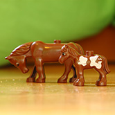 Kinderopvang Madelief Bodegraven Paardjes